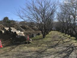 桜並木の横、最高のロケーション